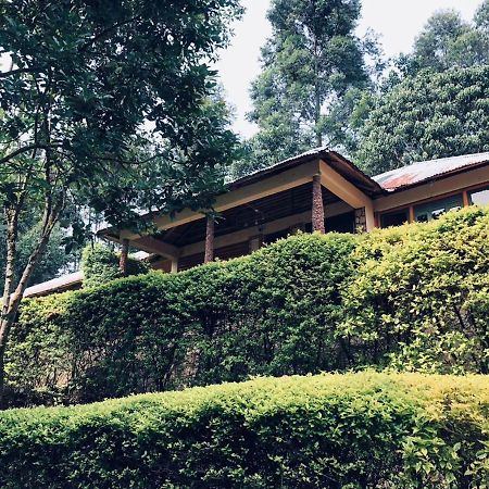 Bwindi Forest Lodge Buhoma Экстерьер фото