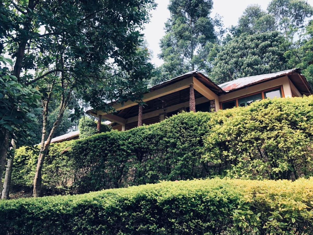 Bwindi Forest Lodge Buhoma Экстерьер фото