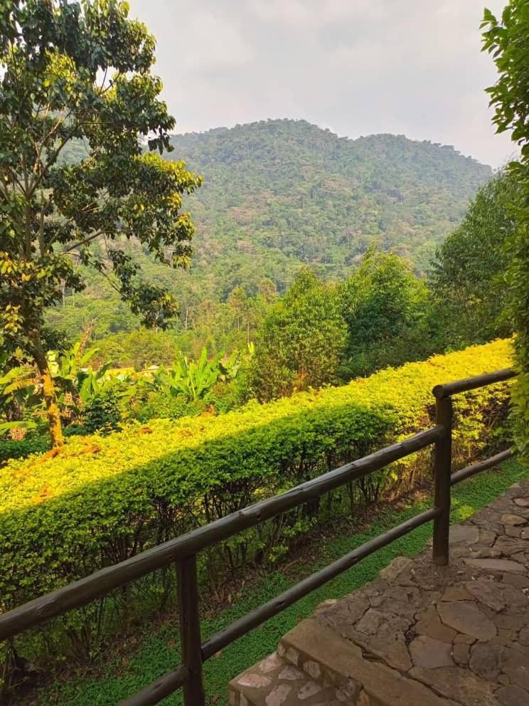 Bwindi Forest Lodge Buhoma Экстерьер фото