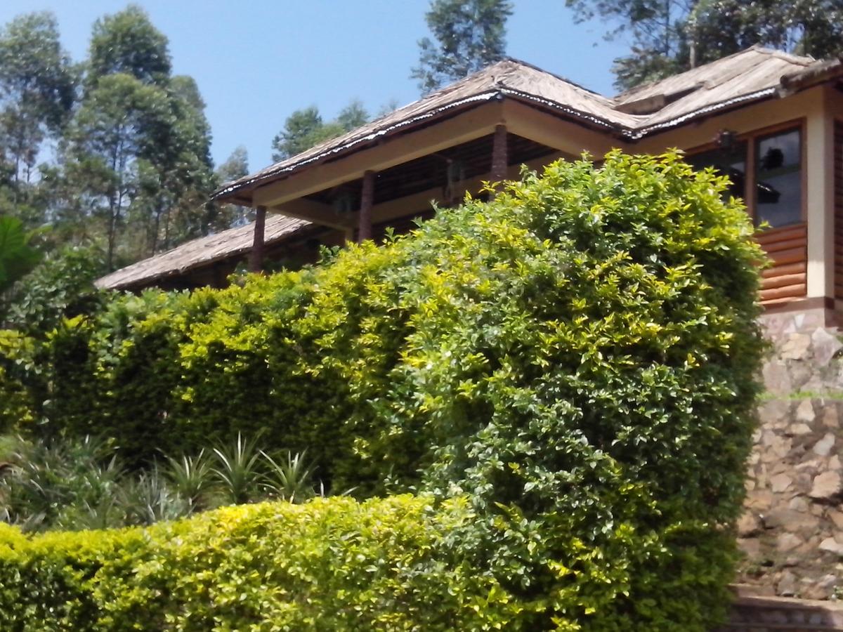 Bwindi Forest Lodge Buhoma Экстерьер фото